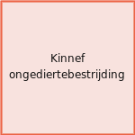 Kinnef ongediertebestrijding